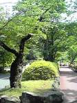 img10070003_1