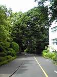 img10070003_2